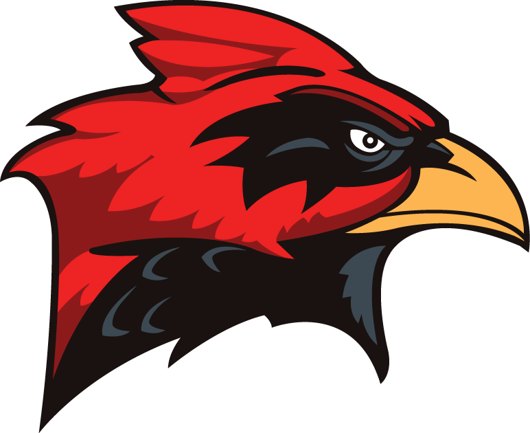 Incarnate Word Cardinals 1998-2010 Secondary Logo diy iron on heat transfer